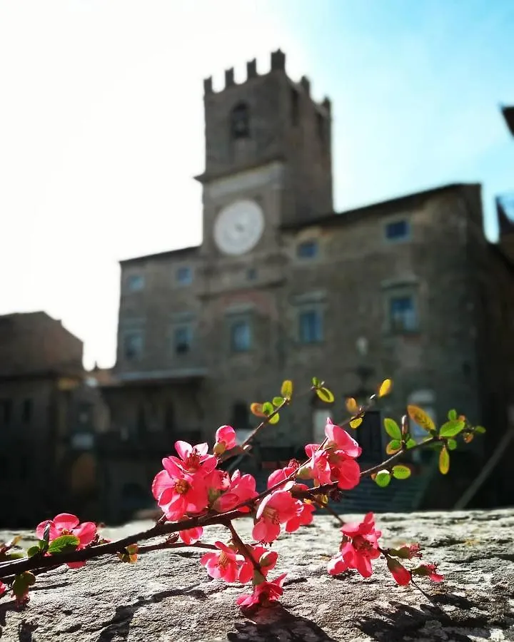 Appartamento Io E Te Cortona Centro Storico - Seconda Doccia Su Romantica Corte